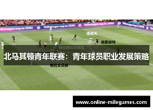 北马其顿青年联赛：青年球员职业发展策略