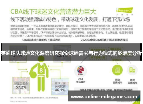 英超球队球迷文化深度研究探索球迷需求与行为模式的多维度分析