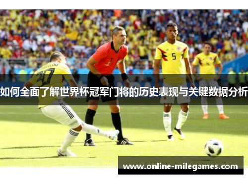 如何全面了解世界杯冠军门将的历史表现与关键数据分析