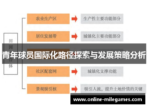 青年球员国际化路径探索与发展策略分析